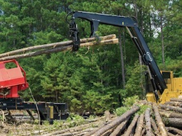 Weiler Forestry photo